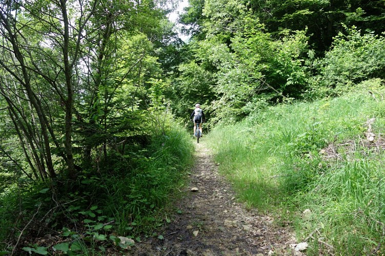 Circuit VTT Aillons Margériaz 1000 - Lac de la Thuile