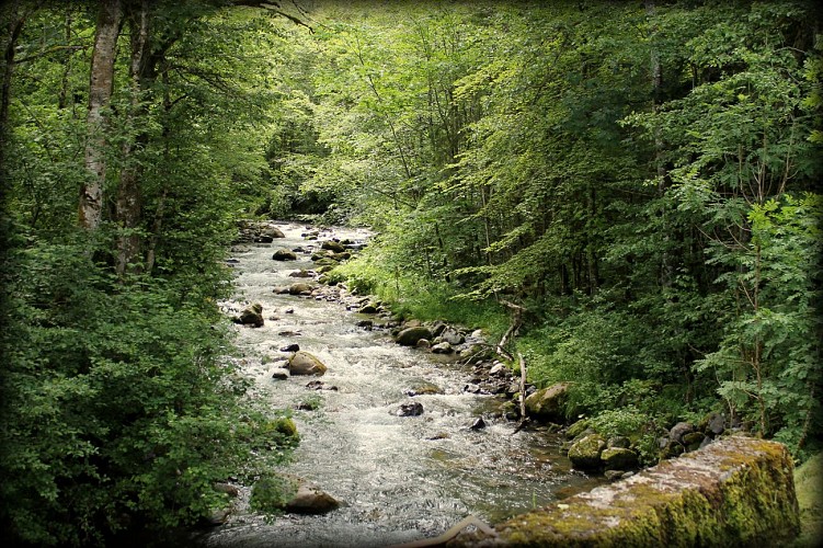 Easy MTB loop - Bellevaux valley