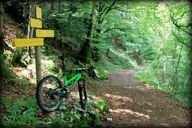 Easy MTB loop - Bellevaux valley