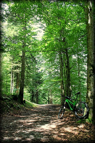 Easy MTB loop - Bellevaux valley