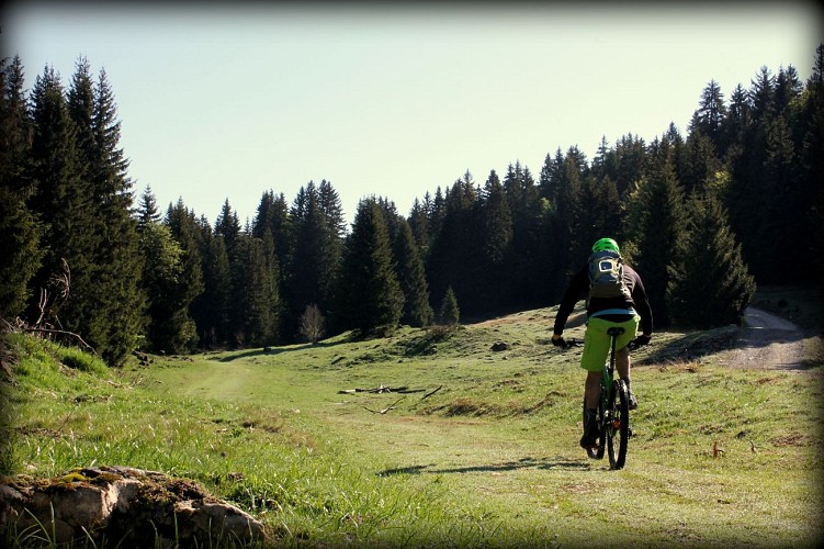 Piste VTT FFC bleue - La Féclaz