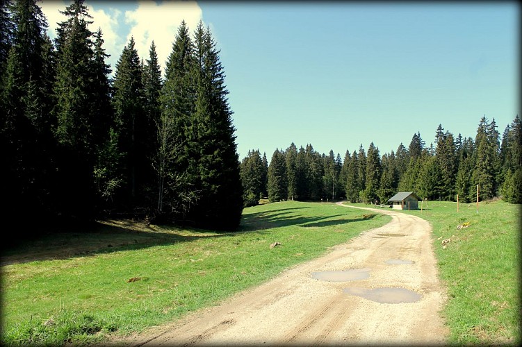 Piste VTT FFC bleue - La Féclaz
