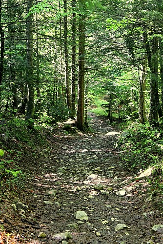 Piste VTT FFC rouge - La Féclaz