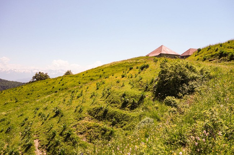 Electric MTB tour - Col de la Buffaz