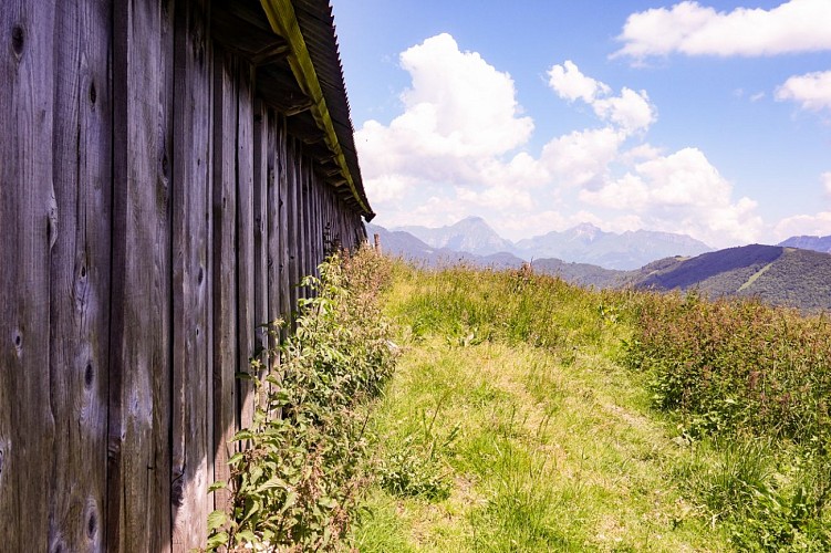 Electric MTB tour - Col de la Buffaz