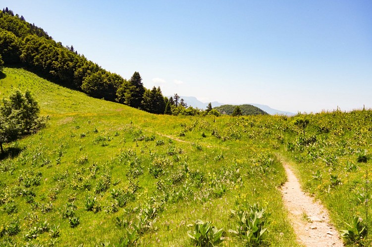Electric MTB tour - Col de la Buffaz