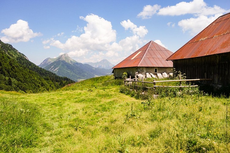 Parcours VTT AE - col de la Buffaz