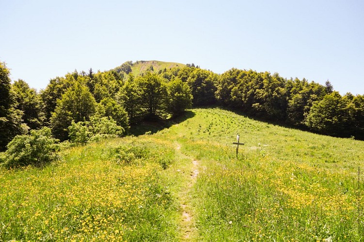 Parcours VTT AE - col de la Buffaz