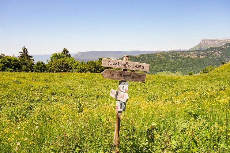 Parcours VTT AE - col de la Buffaz