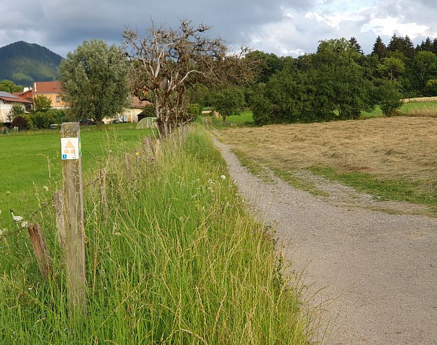 Mountain biking: Circuit n°1 La Panoramique