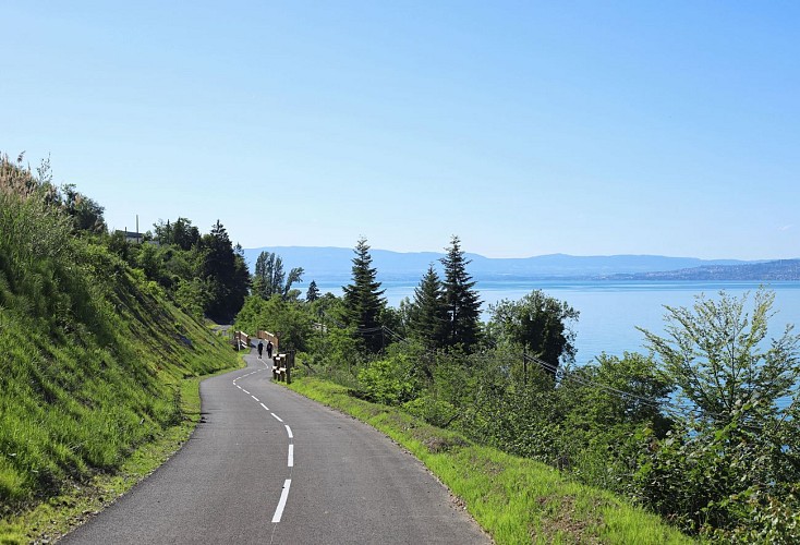 ViaRhôna TR1 - Lac Léman > Lyon