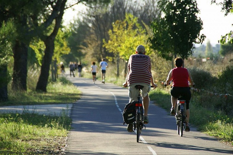 La voie verte Montfrin-Beaucaire