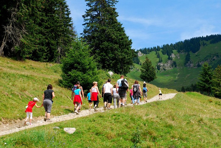 Walking route - Boucle du Mouet from Châtel