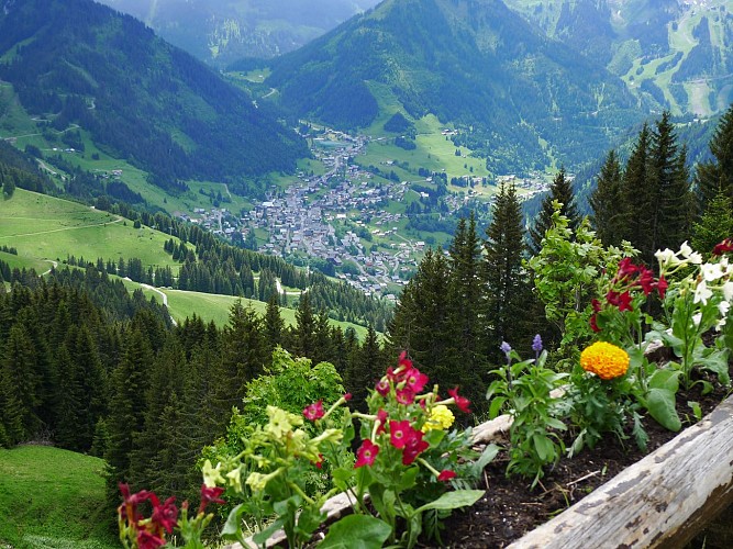 Walking route - Boucle du Mouet from Châtel