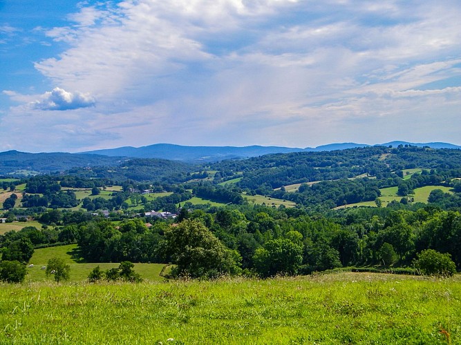 Autour de Nizerolles - PR n° 21