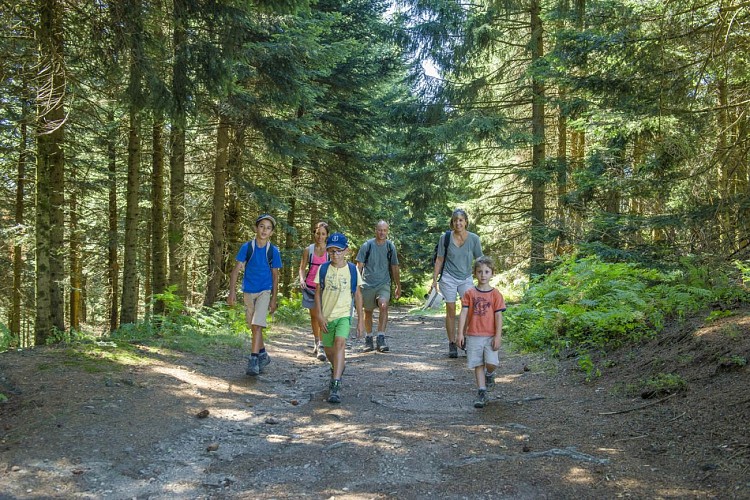 Le bois des Maquisards - PR n°22