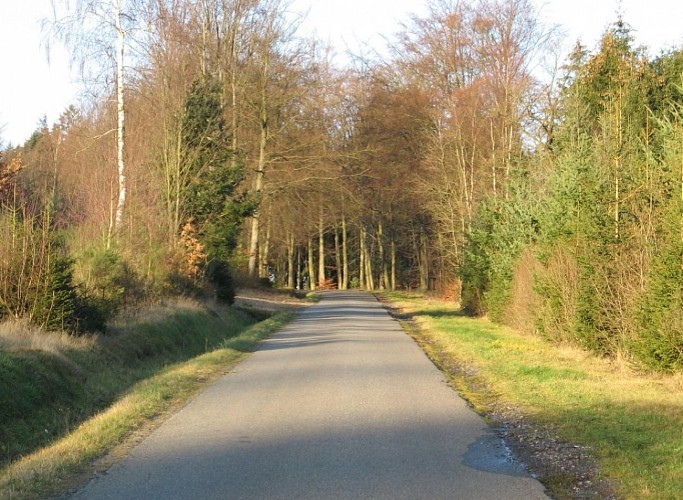Fahrradtour: Kleine Dörfer und Grand Bois