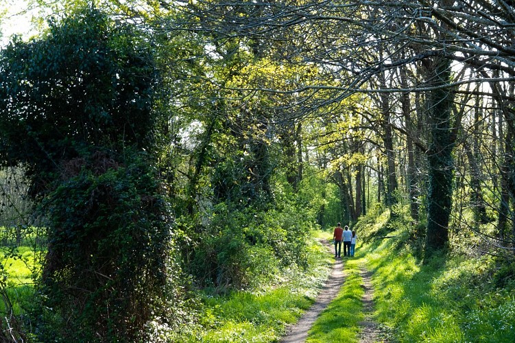Sentier des Farfadets