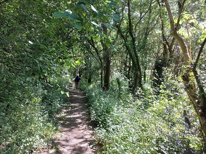 Sentier de la Boutière
