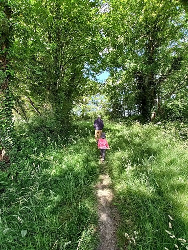 Sentier de la Boutière