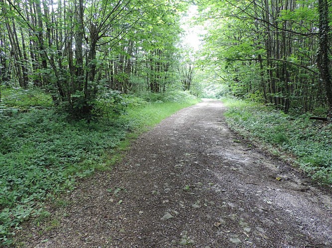 Chemin des collines_2