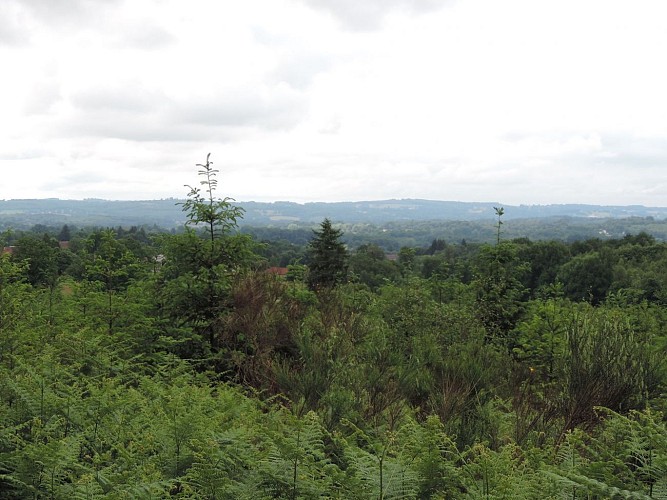 Chemin des collines_4