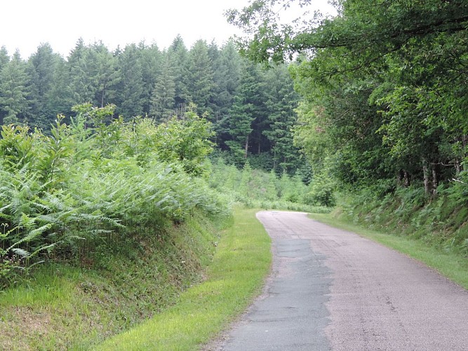 Chemin des collines_5