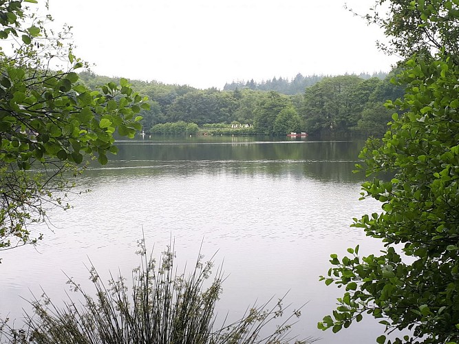 Etang de Villecartier