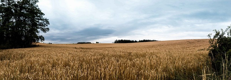 Les coteaux des Creuzier - PR n°56