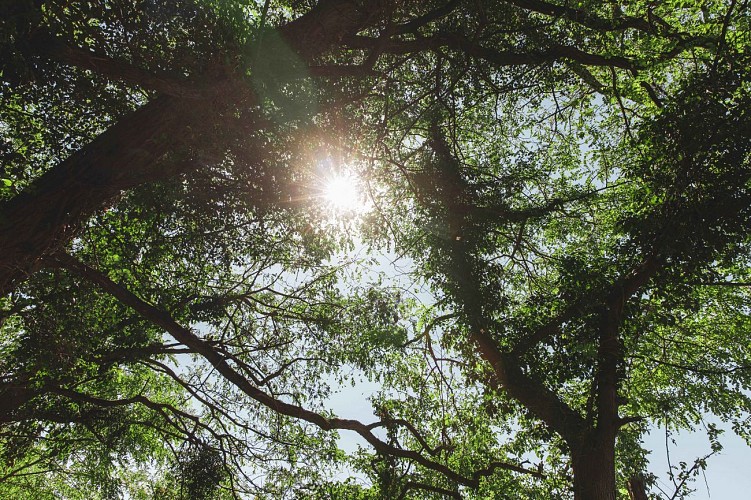 La cressonière de Laudemarière - PR n°57