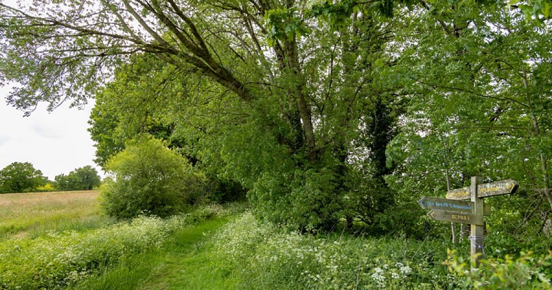 Sentier des Oiseaux - Les Essarts, Essarts en Bocage