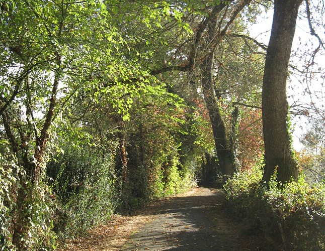 Sentier du Compère Guilleri - La Merlatière