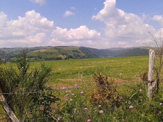 Vallées du Plomb, géant du Cantal