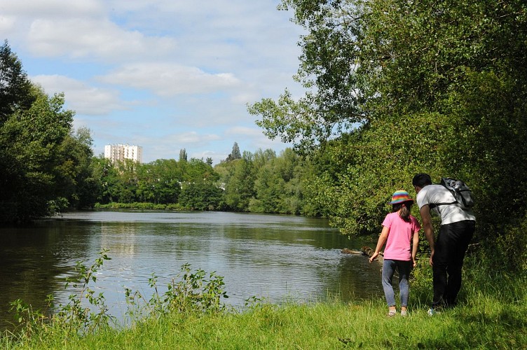 Rives et boires de l'Allier - PR n°48