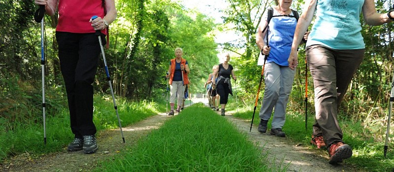 Les Chemins de Bellerive - PR n°45