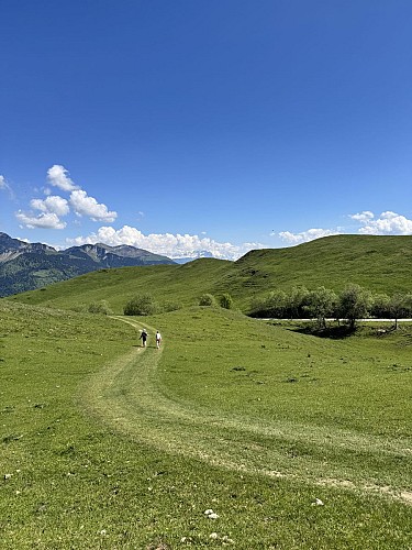 Sentier de randonnée - La pointe de Miribel_Bogève