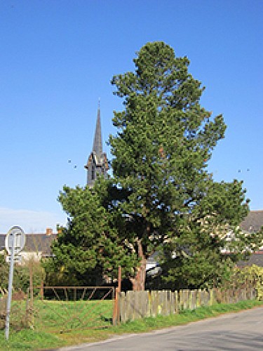 Du Camping La Pindière à La Chevallerais