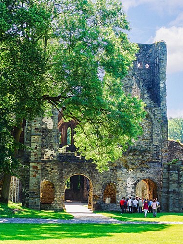 Wandeling van 5 tot 10 km in Villers-La-Ville - De grootsheid van een abdij en een woud