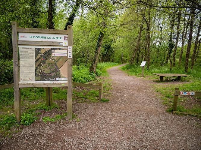 Balade famille : Sentier de découverte de la Beue à Varennes-Vauzelles