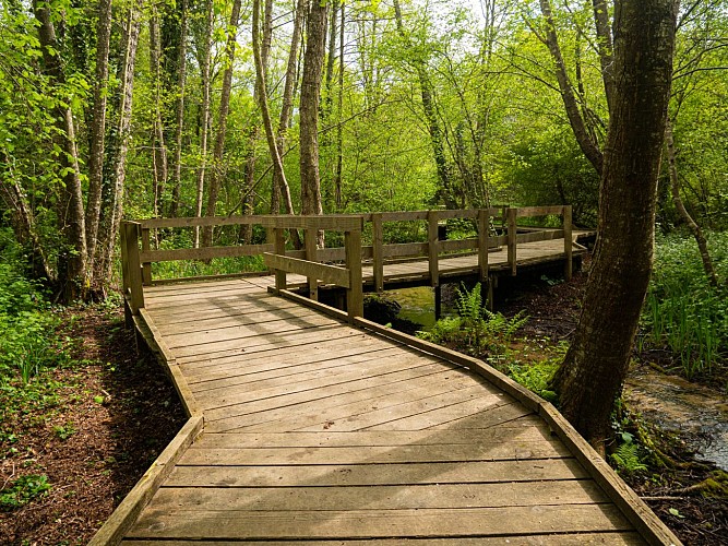 Balade famille : Sentier de découverte de la Beue à Varennes-Vauzelles
