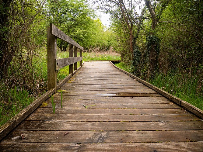 Balade famille : Sentier de découverte de la Beue à Varennes-Vauzelles
