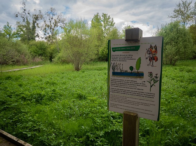 Balade famille : Sentier de découverte de la Beue à Varennes-Vauzelles