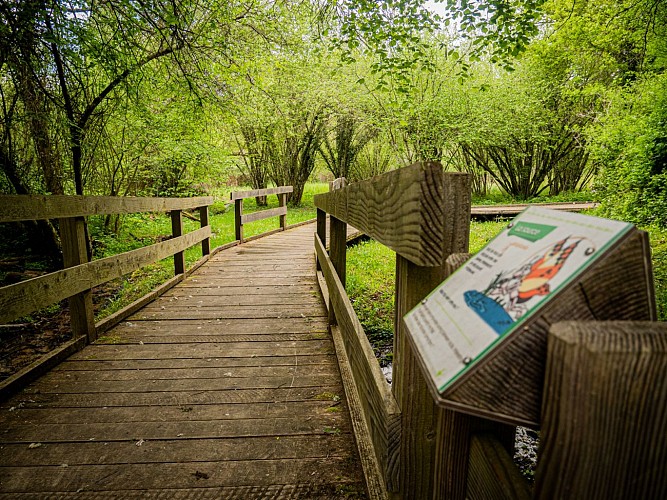 Balade famille : Sentier de découverte de la Beue à Varennes-Vauzelles