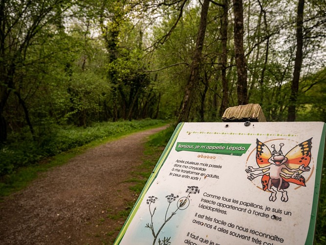 Balade famille : Sentier de découverte de la Beue à Varennes-Vauzelles