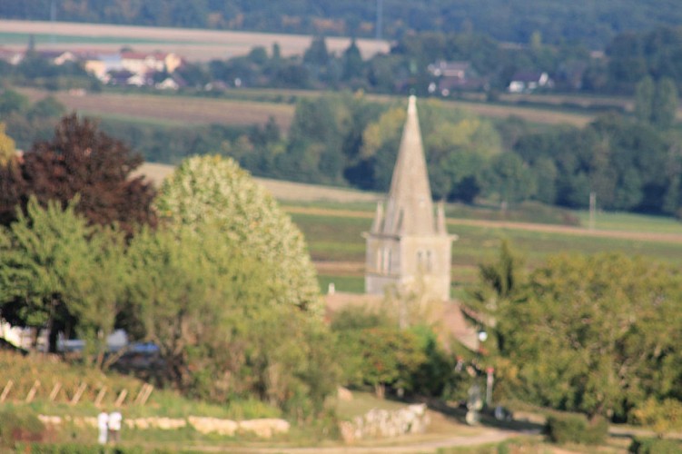 Saint Martin sous Montaigu SM1 : Balade verte de Château-Beau aux Orchidées