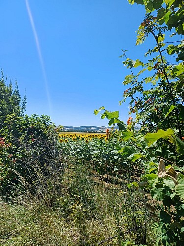 La pierre sanglante_Saint-Genès-du-Retz