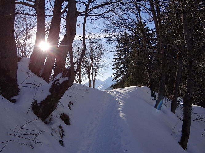 Snowshoeing itinerary - Le sentier des Paquiers (2)