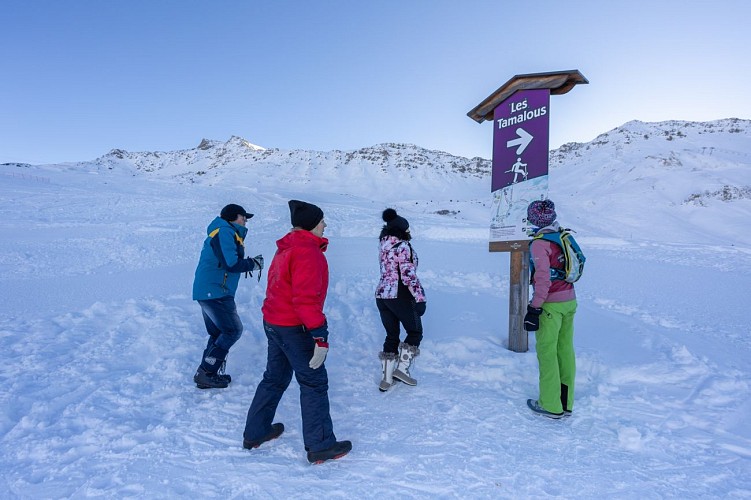 Pedestrian itinerary in the ski area - "Les Tamalous"