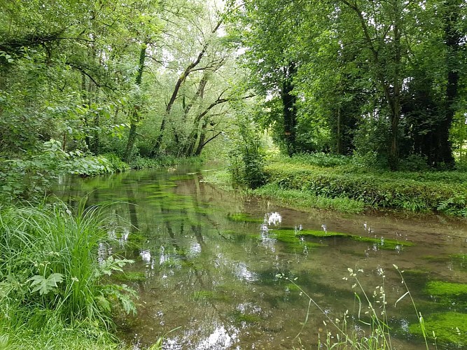 Jakobsweg im Loiret