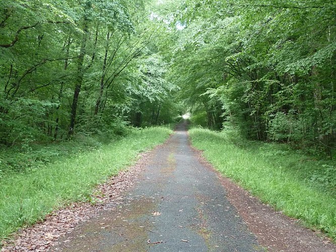 Chemin de Compostelle dans le Loiret